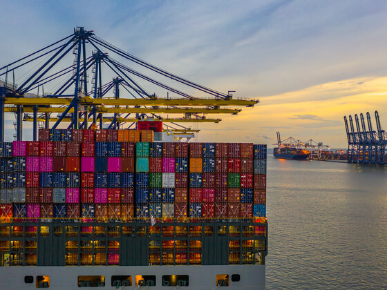Container shipping for forest products